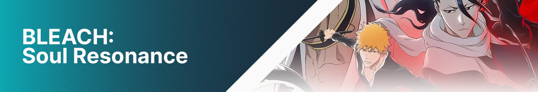 BLEACH: Soul Resonance banner
